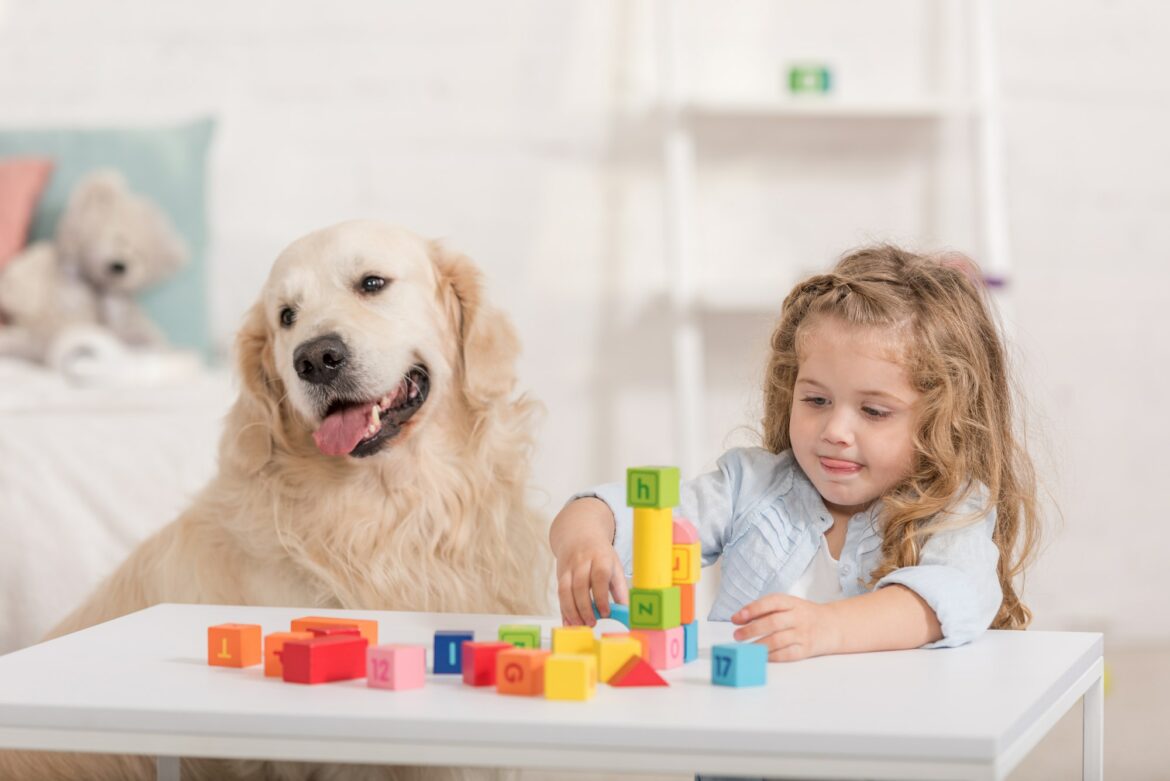 adorable-kid-playing-with-educational-cubes-golden-retriever-sitting-near-table-in-children-room.jpg