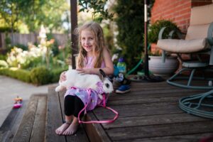 Kid and rabbit pet