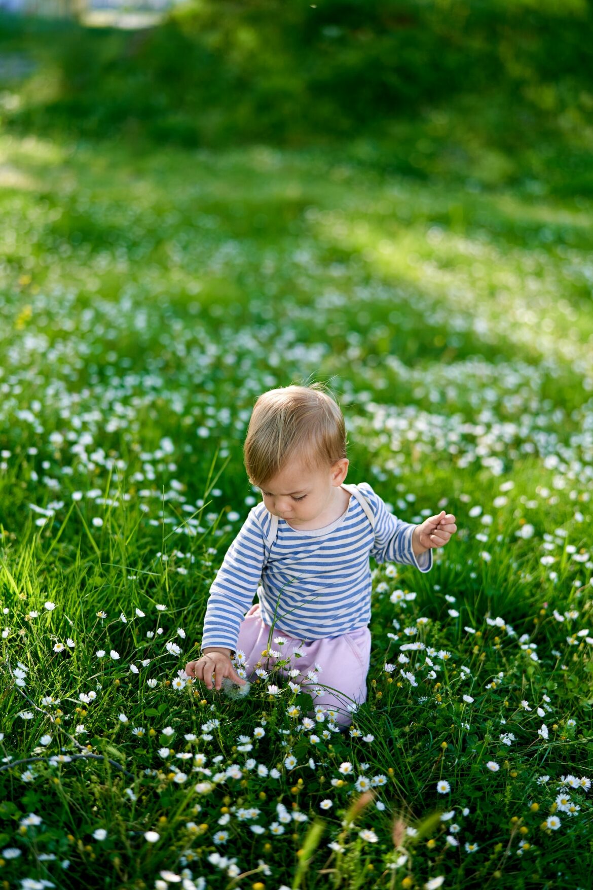 kid-sits-on-his-knees-on-a-green-lawn-with-white-daisies.jpg