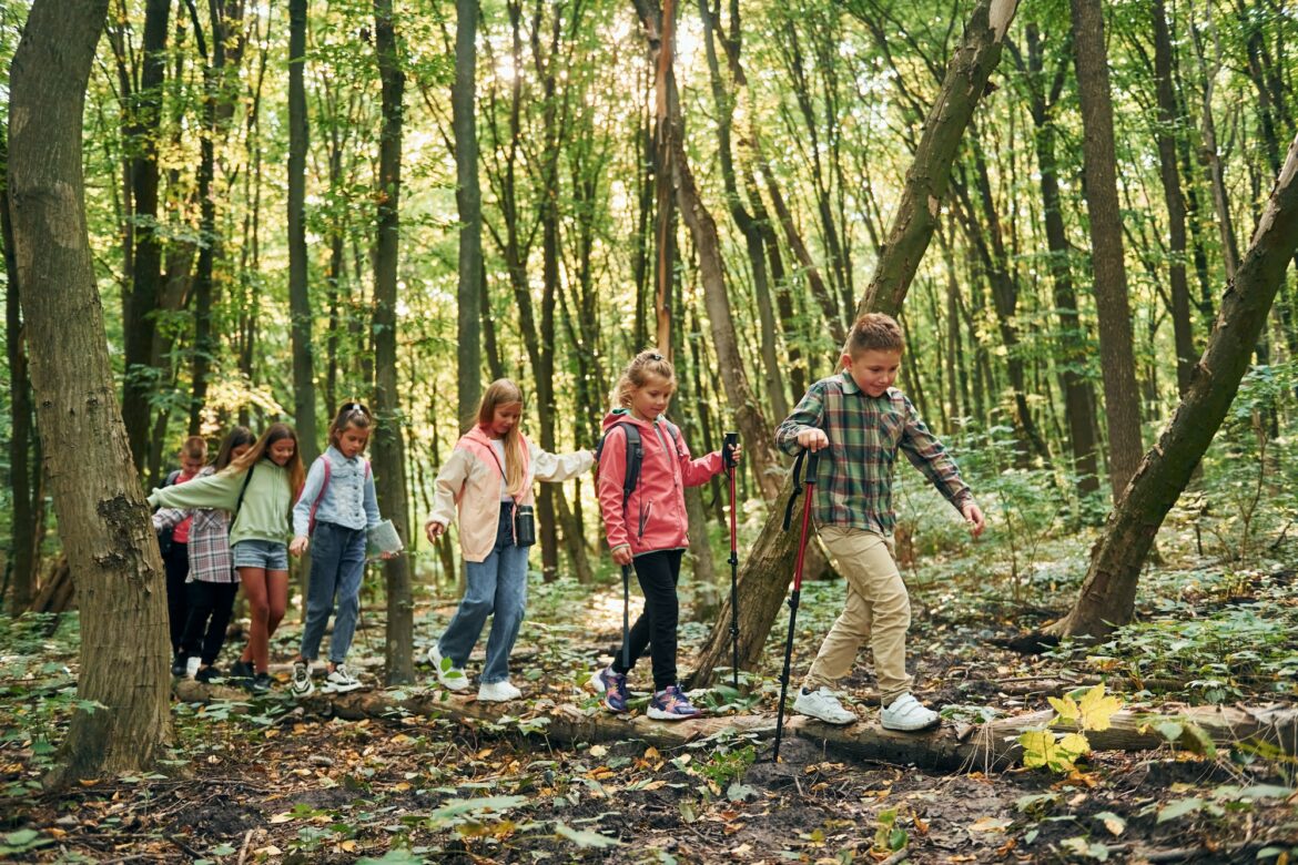 walking-on-the-log-kids-in-green-forest-at-summer-daytime-together.jpg